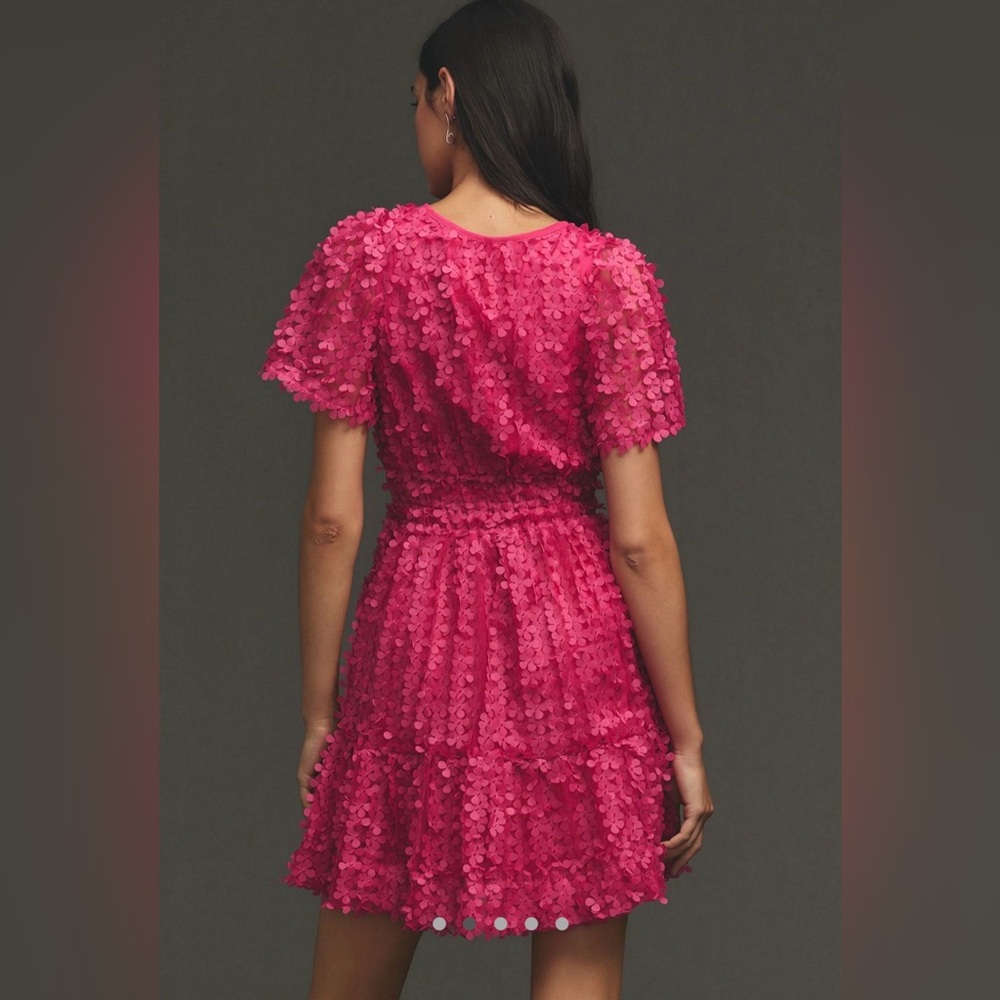 Anthropologie Somerset Appliqué  Textured Mini Dress- EUC!! - Picture 2 of 11